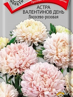 семена Астра Валентинов день Лососево-розовая