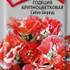 семена Томат Фламенко пурпурный