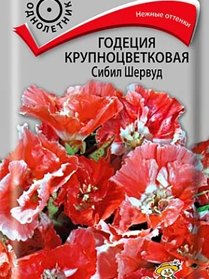 семена Годеция крупноцветковая Сибил Шервуд
