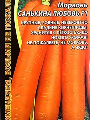 Томат санькина любовь описание. Санькина любовь томат. Морковь Санькина любовь f1 фото. Морковь Санькина любовь описание сорта фото отзывы садоводов. Микоризированные семена что это такое.