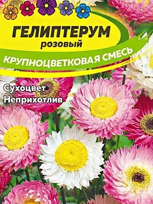 семена Гелиптерум розовый Крупноцветковая смесь